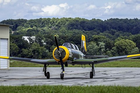 CJ-6