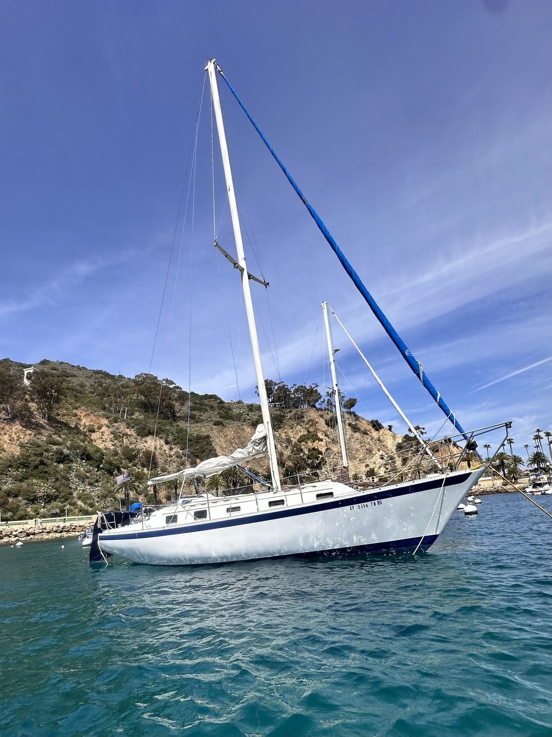 irwin citation 34