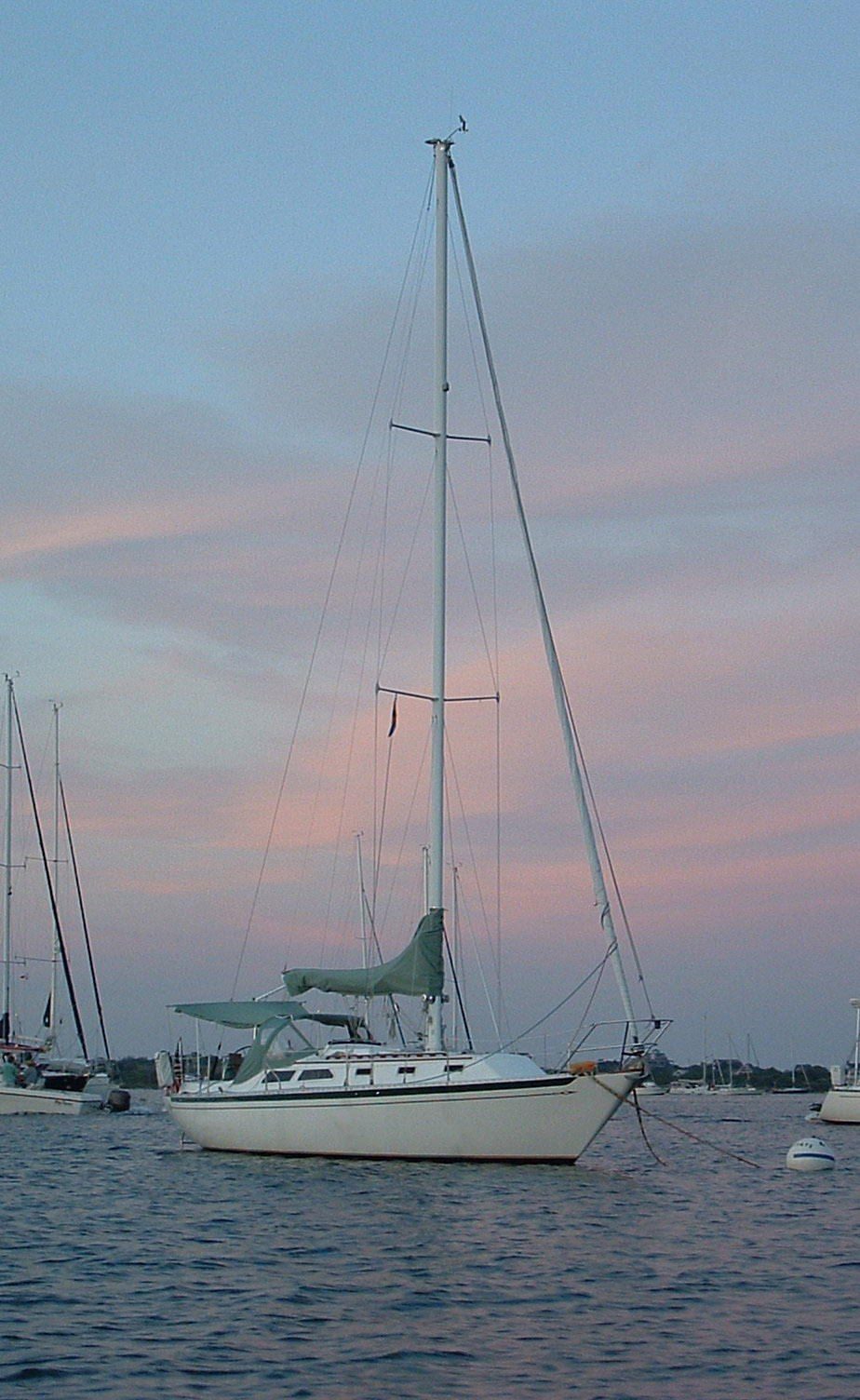 islander 36