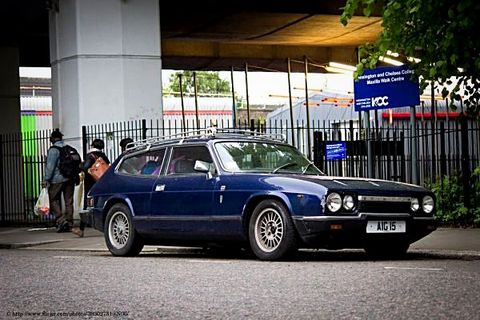 Scimitar