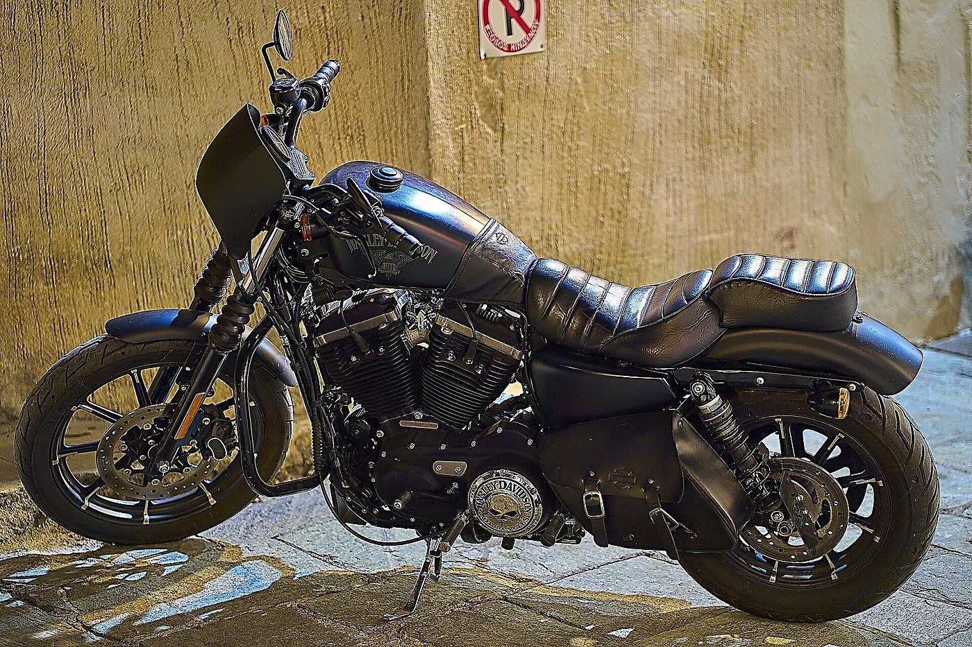 Harley-Davidson Iron 883 (XL883N)