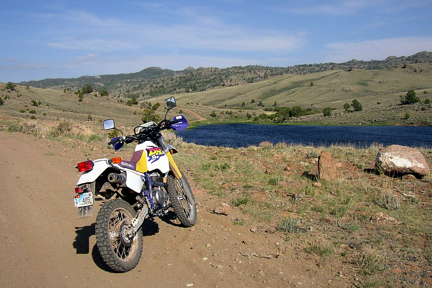 Suzuki DR350