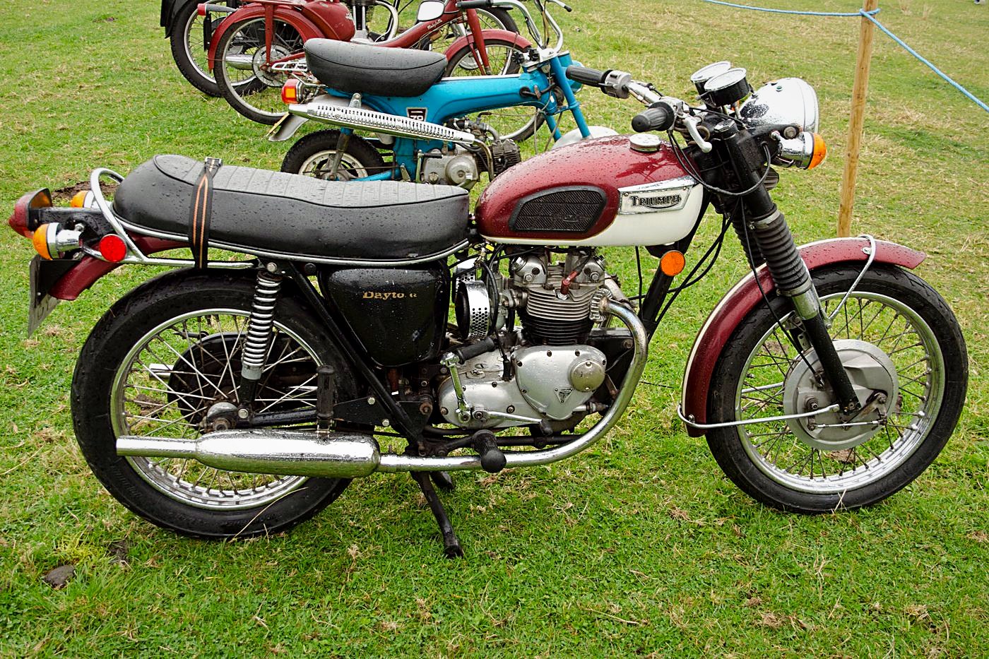 Triumph Tiger 100 Daytona